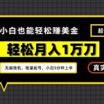 谷歌看广告撸美金2.0，无脑挂机，多号操作，月入1万刀