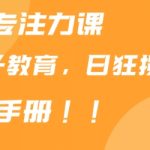 靠儿童专注力课程售卖亲子育儿课程，日暴力狂揽1000+，喂饭手册分享