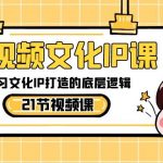 短视频文化IP课，学习文化IP打造的底层逻辑（21节课）