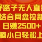 野路子无人直播结合网盘拉新，日赚2500+，小白无脑轻松上手