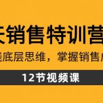 28天销售特训营5期：了解赚钱底层思维，掌握销售成交密码（12节课）