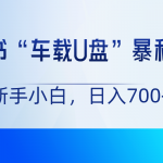 小红书“车载U盘”项目，暴利引流，新手小白轻松日入700+