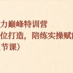 表现力巅峰特训营，全方位打造，陪练实操赋能（21节课）