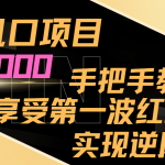 最新风口项目，日入1000，手把手教学，享受第一波红利，实现逆风翻盘