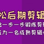 轻松后期剪辑课：从基础一步一步锻炼剪辑能力，成为一名成熟剪辑师（15节课）