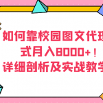 如何靠校园图文代理模式月入8000+！详细剖析及实战教学！