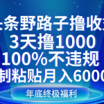 头条野路子撸收益，3天撸1000，100%不违规，复制粘贴月入6000＋