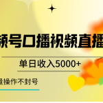 视频号口播视频直播玩法单日收入5000+，一种可以单号持续操作的玩法