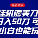 薅羊毛项目  零投入挂机薅美刀    单号日入50刀  可批量  小白也能玩