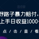 最新野路子暴力赔付，当天上手日收益1000+【仅揭秘】