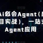 2024Ai必会Agent(应用解读+项目实战)，一站式搞定Agent应用