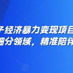 全网最火搭子经济暴力变现项目，主打垂直细分领域，精准陪伴