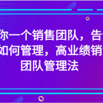 给你一个销售团队，告诉你如何管理，高业绩销售团队管理法（89节课）