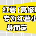 伊伊·红薯【高级班】运营课，专为红薯小白量身而定