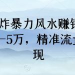 2024王炸暴力风水赚钱项目，月入过3-5万，精准流量引流变现