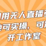 不卖货利用无人直播引流视频教程，地可实操，可矩阵，可开工作室