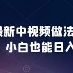 2024最新中视频做法保姆级教学，小白也能日入2000