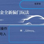 全新抖音倔金项目5.0，小白在家即可轻松操作，单号日入500+支持矩阵操作