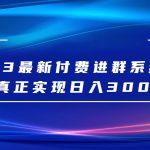 2023最新付费进群系统，日入3000+，送全套源码