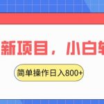 2024最新项目，红娘项目，简单操作轻松日入800+