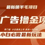 2024最新小白必撸项目，刷广告撸金最新玩法，亲测一天140