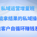 私域运营增量班 培养能拿结果的私域操盘手，打造客户自循环赚钱系统