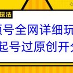 视频号全网最详细玩法，起号过原创开分成，单号日入300+