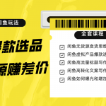 闲鱼无货源赚差价进阶玩法，爆款选品，资源寻找，引流变现全套教程（11节课）