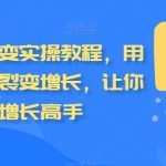 私域拼团裂变实操教程，用户和业绩双裂变增长，让你成为增长高手