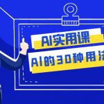 AI·实用课：Al的·30种用法，工作效率提升数倍（31节课）