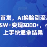 全网独创首发，AI换脸引流男粉，单日涨粉1.5W+变现3000+，小白也能上手快速拿结果