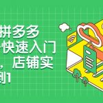 外版拼多多Temu-快速入门实战课，店铺实战从0到1（12节课）