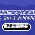 小红书新西兰留学生赛道经验分享，1个月变现68000