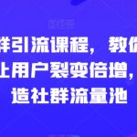 玩转社群引流课程，教你怎么玩社群，让用户裂变倍增，轻松打造社群流量池