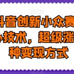 2024抖音创新小众赛道上热门核心技术，超级涨粉，多种变现方式