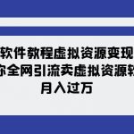 软件教程虚拟资源变现：带你全网引流卖虚拟资源软件，月入过万（11节课）