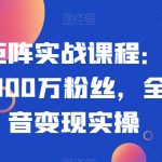 抖音矩阵实战课程：新手从0到100万粉丝，全套抖音变现实操