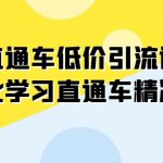 直通车-低价引流课，系统化学习直通车精准投放（14节课）