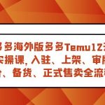 跨境多多海外版多多Temu12天快速入门实战课，从入驻 上架到正式售卖全流程