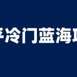 知乎冷门蓝海项目，零门槛教你如何单日变现200+