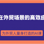 AI在外贸场景的高效应用，从入门到进阶，从B端应用到C端应用，为外贸人量身打造的AI课