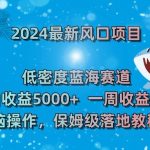 2024最新风口项目，低密度蓝海赛道，单日收益5000+，一周收益4w+！