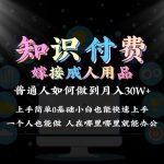 2024普通人做知识付费结合成人用品如何实现单月变现30w➕保姆教学1.0