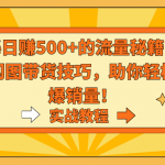 （9058期）揭秘日赚500+的流量秘籍，动态闪图带货技巧，助你轻松引爆销量！