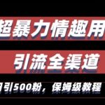 最新情趣项目引流全渠道，自带高流量，保姆级教程，轻松破百单，日引500+粉