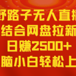 （9025期）无人直播野路子结合网盘拉新，日赚2500+多平台变现，小白无脑轻松上手操作