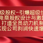 超级股权-引爆超级价值：电商股权设计与激励：打造全员动力机制 实现快速增长