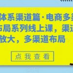 八大体系渠道篇·电商多渠道布局系列线上课，渠道放大，多渠道布局