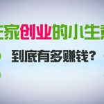 （8999期）在家创业，日引300+创业粉，一年收入30万，闷声发财的小生意，比打工强