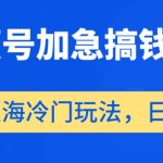 视频号加急搞钱计划，蓝海冷门玩法，日入500+【揭秘】